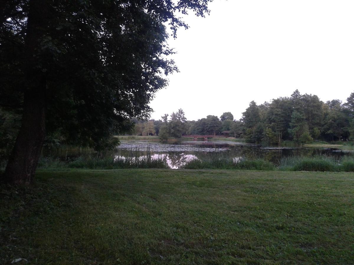 Cztery Pory Roku Guest House Bialowieza Luaran gambar