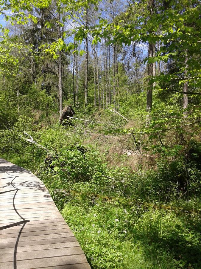 Cztery Pory Roku Guest House Bialowieza Luaran gambar