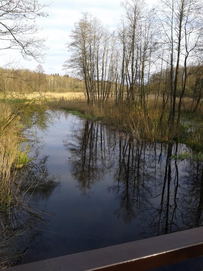 Cztery Pory Roku Guest House Bialowieza Luaran gambar