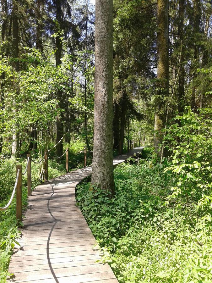 Cztery Pory Roku Guest House Bialowieza Luaran gambar